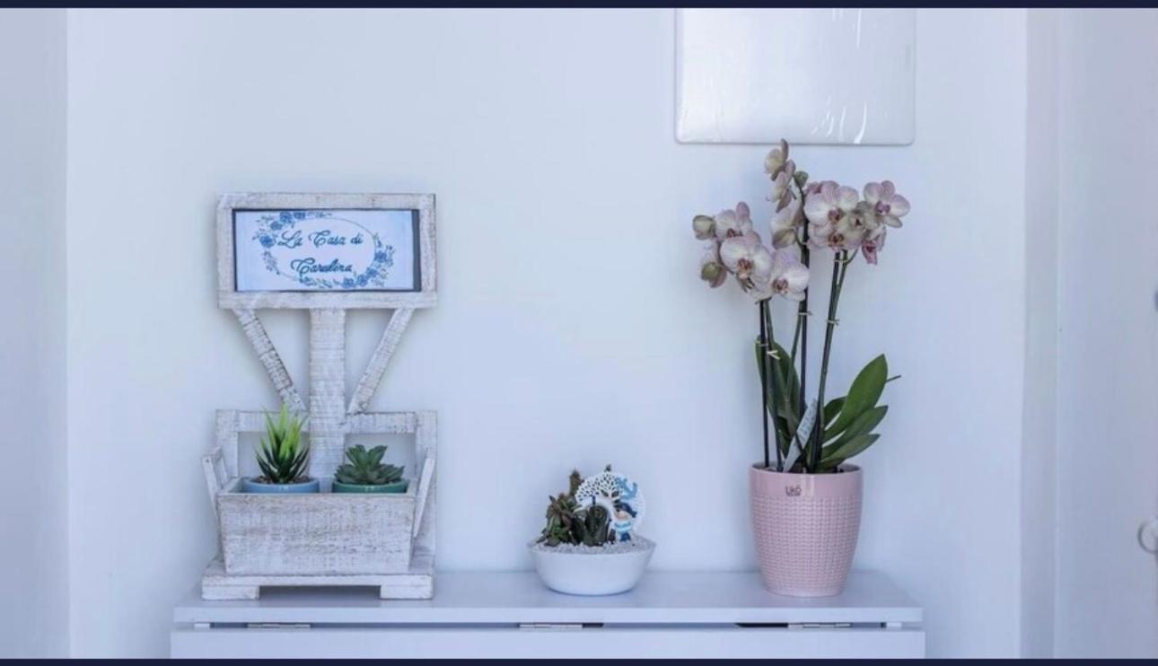 La Casa Di Carolina Apartment Maratea Ngoại thất bức ảnh